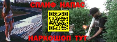 стафф Нальчик